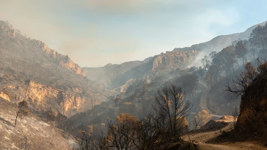 El fuerte viento dificulta las labores de extinción del incendio de Los Guájares, Granada El fuerte viento dificulta las labores de extinción del incendio de Los Guájares, Granada