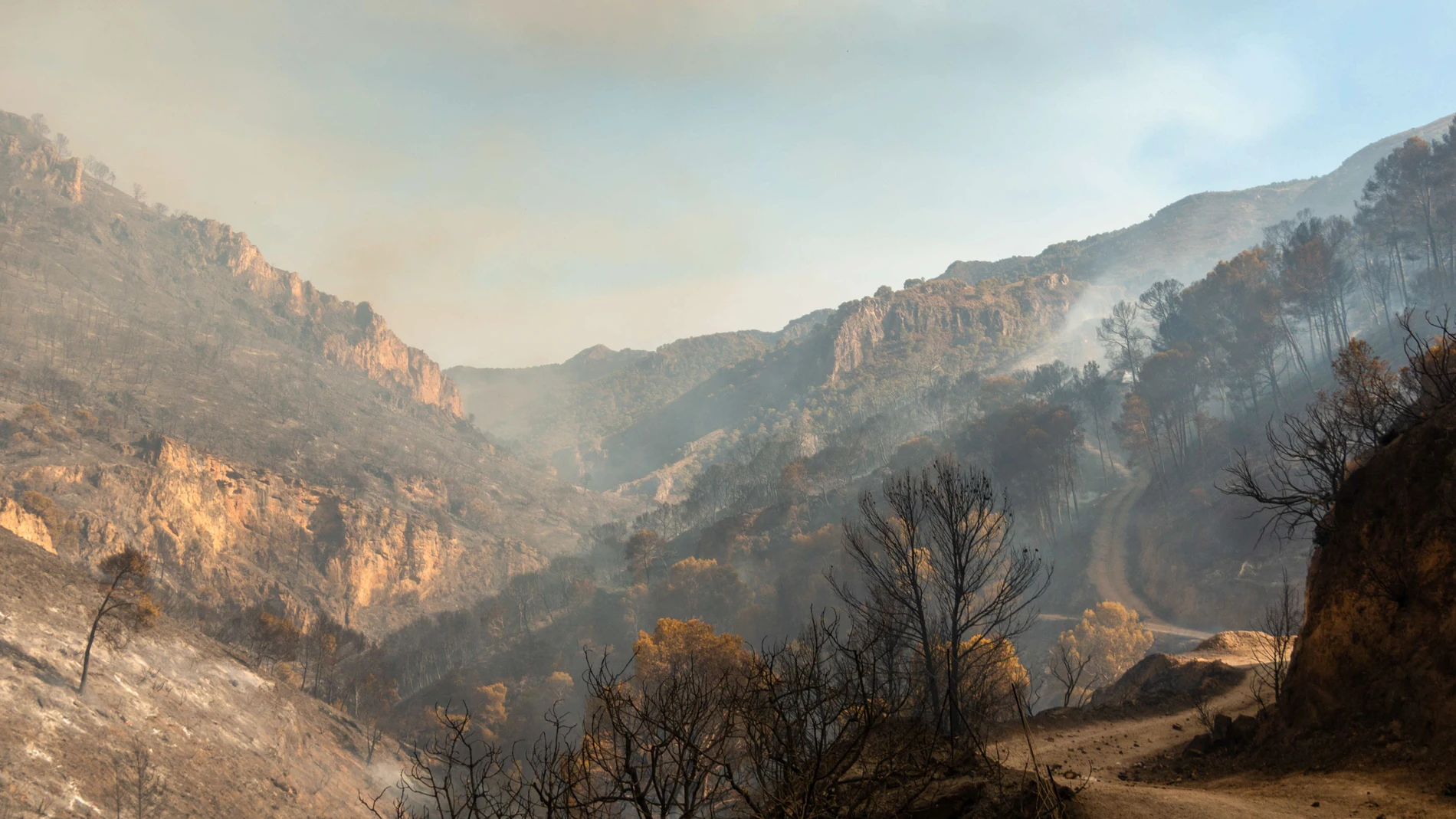 El fuerte viento dificulta las labores de extinción del incendio de Los Guájares, Granada