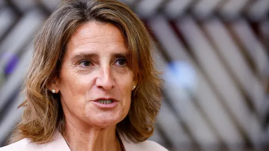 La vicepresidenta tercera y ministra para la Transición Ecológica, Teresa Ribera La vicepresidenta tercera y ministra para la Transición Ecológica, Teresa Ribera
