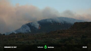 Un incendio forestal en la provincia de Málaga obliga al desalojo de varias viviendas