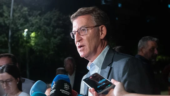 Feijóo, líder del PP Feijóo, líder del PP