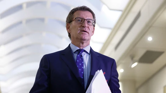 Imagen de archivo del líder del PP, Alberto Núñez Feijóo. Imagen de archivo del líder del PP, Alberto Núñez Feijóo.