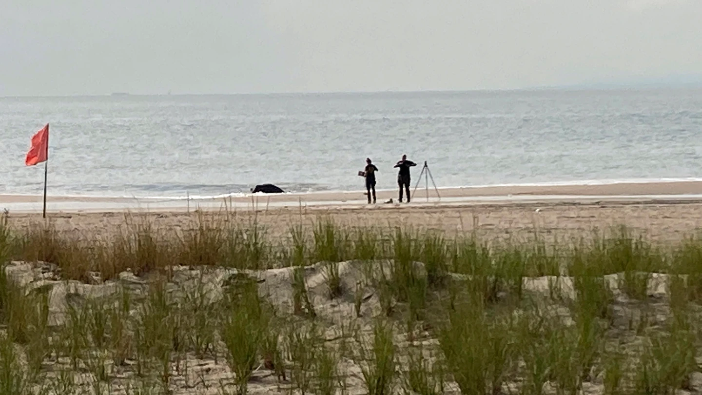 La policía de Nueva York examina un tramo de playa en Coney Island donde han sido hallados los niños La policía de Nueva York examina un tramo de playa en Coney Island donde han sido hallados los niños