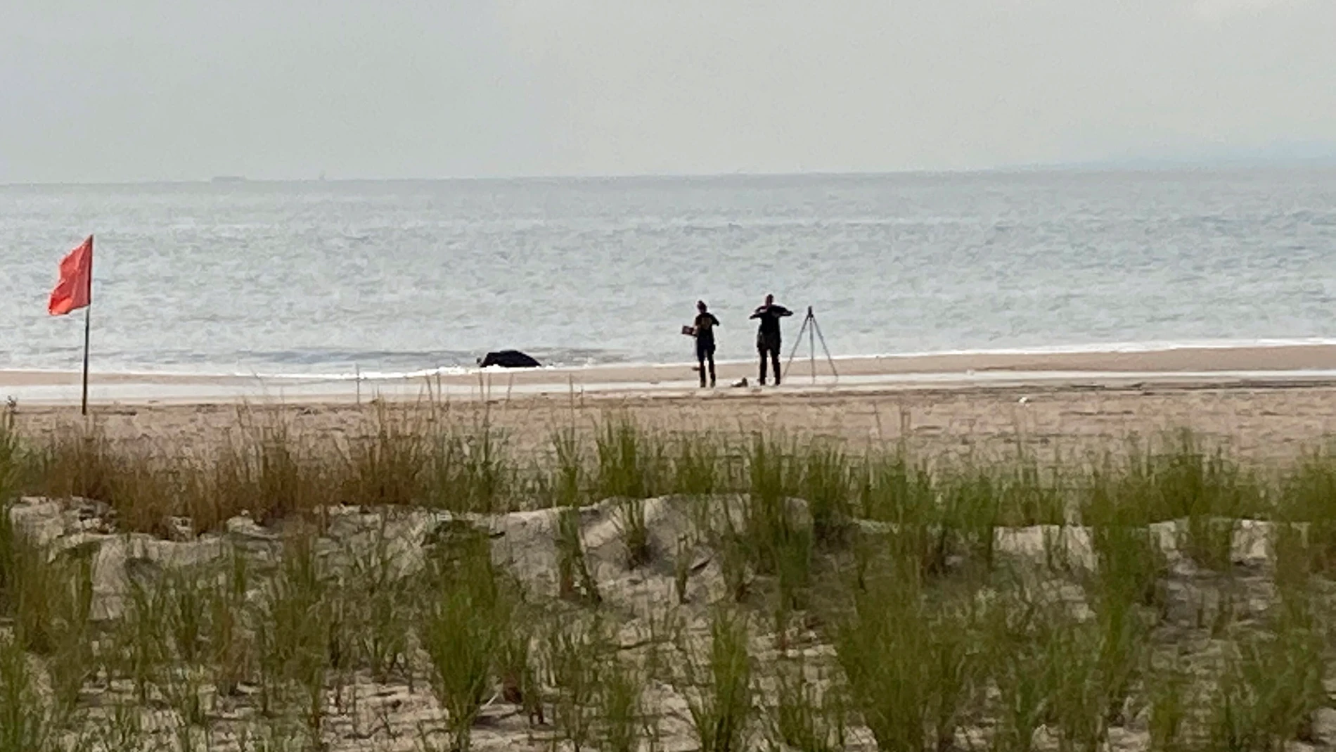La policía de Nueva York examina un tramo de playa en Coney Island donde han sido hallados los niños