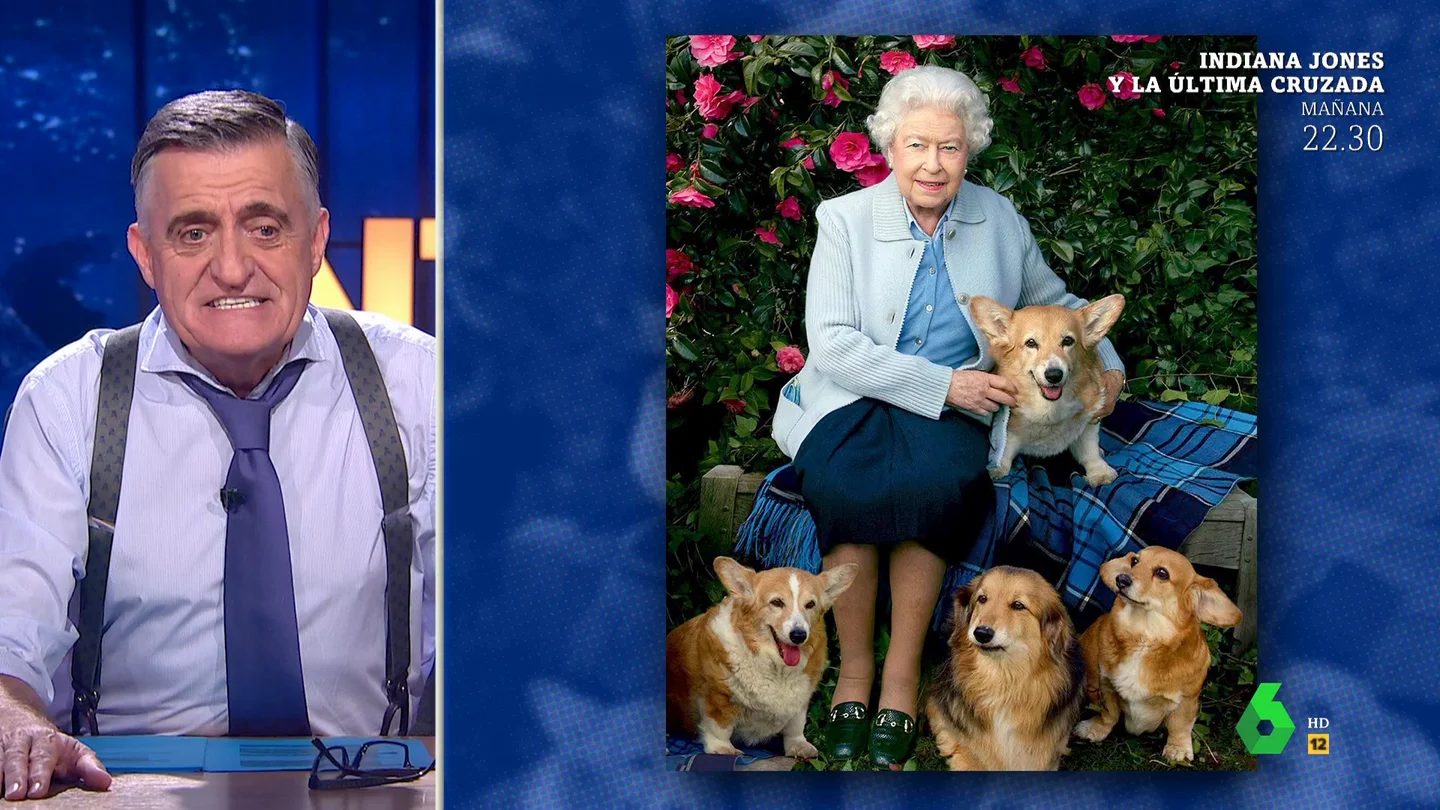 ¿Quién se ocupará de los corgis de la reina Isabel II tras su muerte? ¿Quién se ocupará de los corgis de la reina Isabel II tras su muerte?