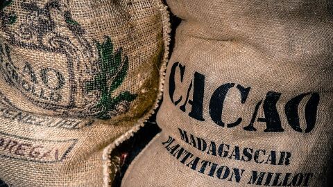 Cacao