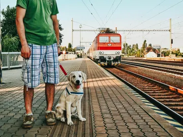 Pasajero viajando en tren con su perro Pasajero viajando en tren con su perro