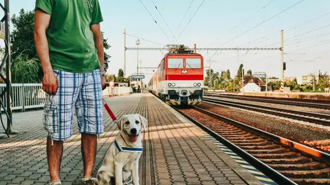 Pasajero viajando en tren con su perro Pasajero viajando en tren con su perro