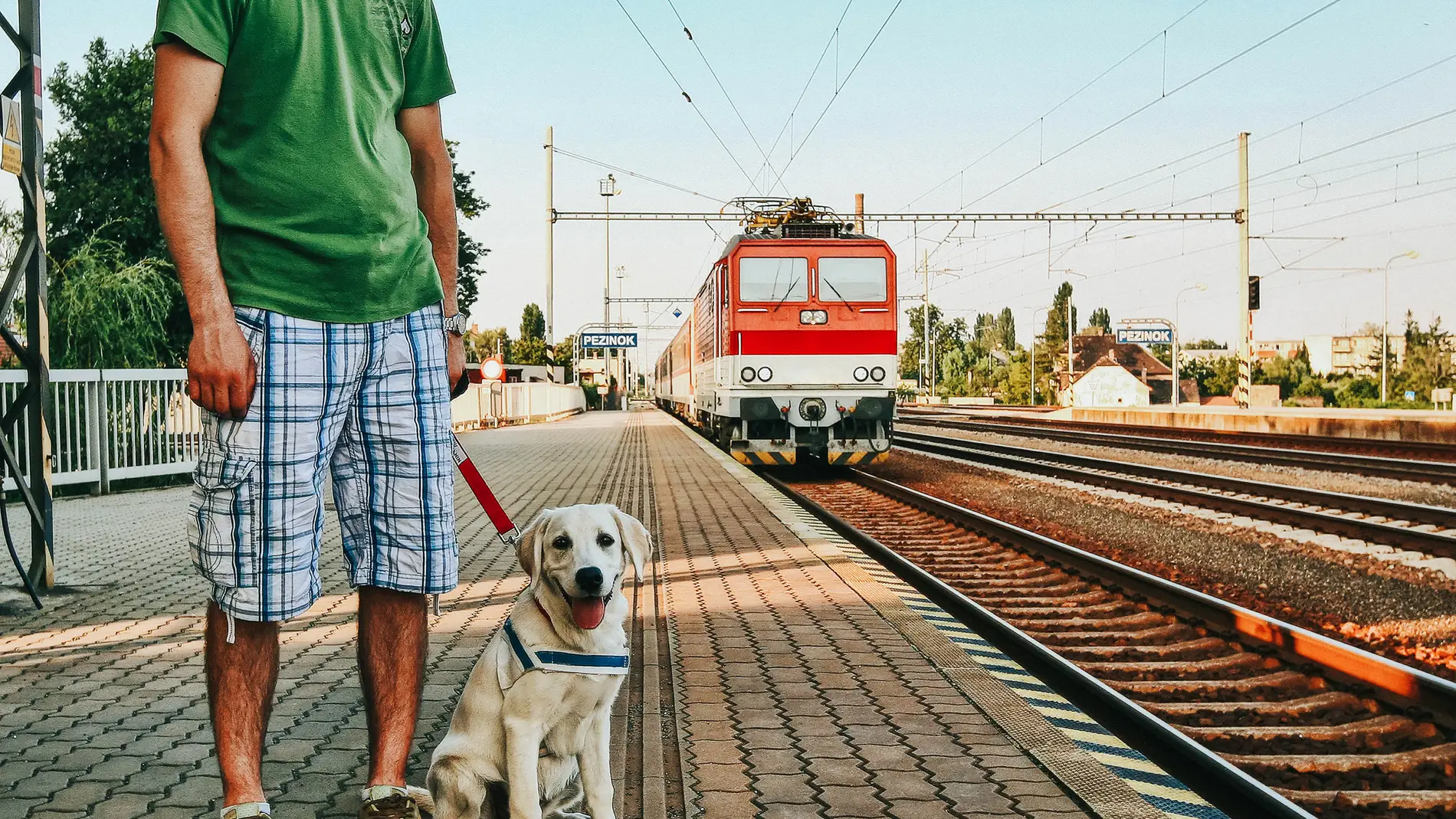 Pasajero viajando en tren con su perro