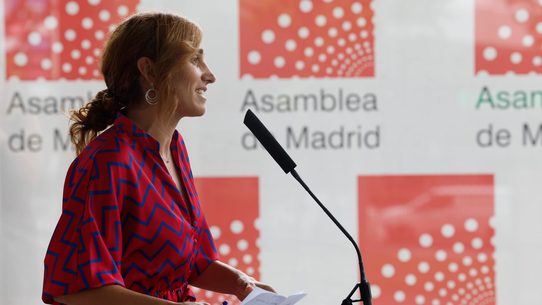 La portavoz de Más Madrid en la Asamblea de Madrid, Mónica García.