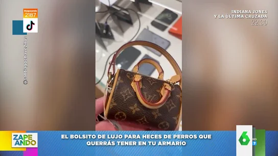Un tik toker compra un bolso de 900€ para guardar las cacas de su perro Un tik toker compra un bolso de 900€ para guardar las cacas de su perro