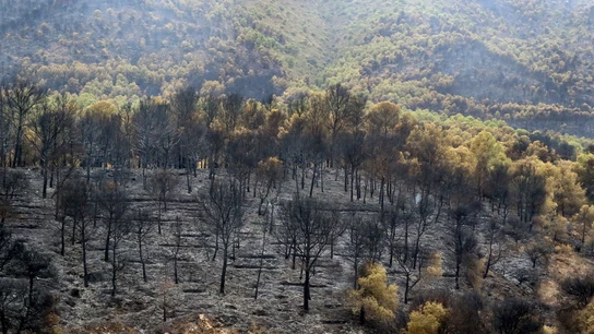 Elevan a nivel 1 el incendio de Los Guájares (Granada) y confinan las poblaciones de Acebuches e Ízbor Elevan a nivel 1 el incendio de Los Guájares (Granada) y confinan las poblaciones de Acebuches e Ízbor