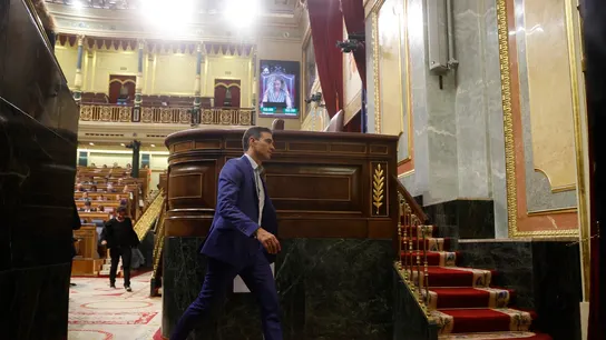 El presidente del Gobierno, Pedro Sánchez, en el Congreso de los Diputados El presidente del Gobierno, Pedro Sánchez, en el Congreso de los Diputados