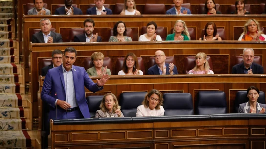 El presidente del Gobierno, Pedro Sánchez, recibe la ovación de la bancada socialista durante la sesión de control al gobierno celebrada este miércoles en el Congreso. El presidente del Gobierno, Pedro Sánchez, recibe la ovación de la bancada socialista durante la sesión de control al gobierno celebrada este miércoles en el Congreso.