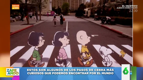 Estos son los pasos de cebra más originales del mundo Estos son los pasos de cebra más originales del mundo