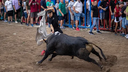 Muere un anciano de 80 años tras ser embestido en un festejo de ‘bous al carrer’ Muere un anciano de 80 años tras ser embestido en un festejo de ‘bous al carrer’