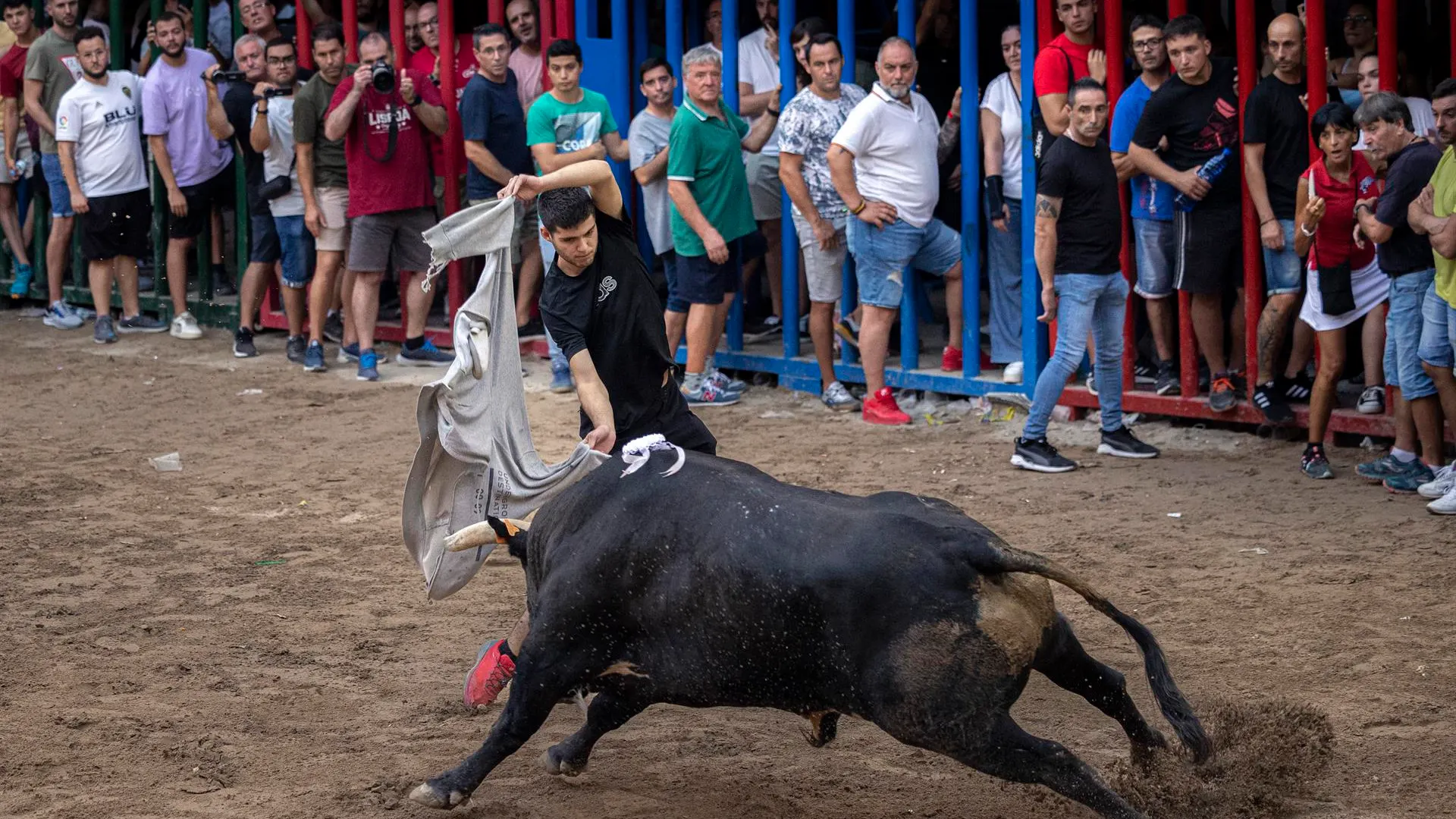 Muere un anciano de 80 años tras ser embestido en un festejo de ‘bous al carrer’ 