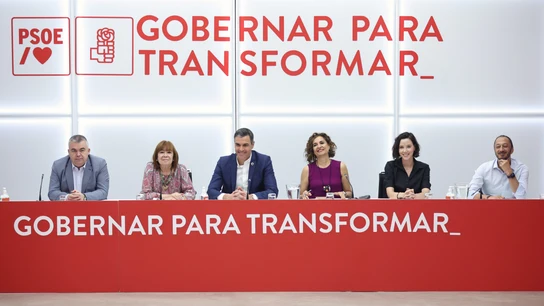 Ejecutiva Federal del PSOE en julio Ejecutiva Federal del PSOE en julio