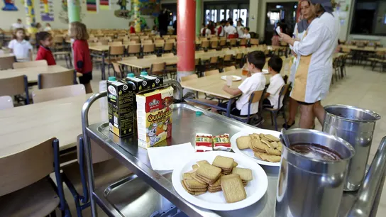 El Gobierno regulará la alimentación saludable y sostenible en los menús de los comedores escolares El Gobierno regulará la alimentación saludable y sostenible en los menús de los comedores e