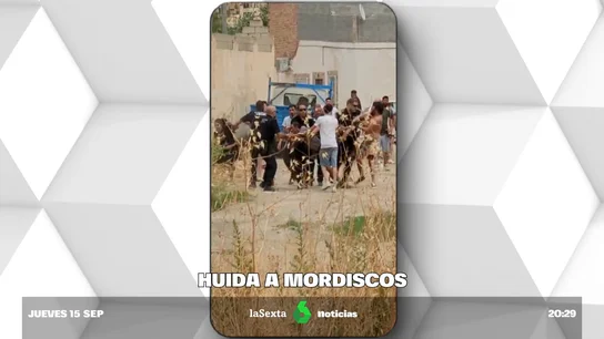Una multitud se enfrenta a la Policía a mordiscos e impide la detención de un fugitivo en Granada Una multitud se enfrenta a la Policía a mordiscos e impide la detención de un fugitivo en Granada
