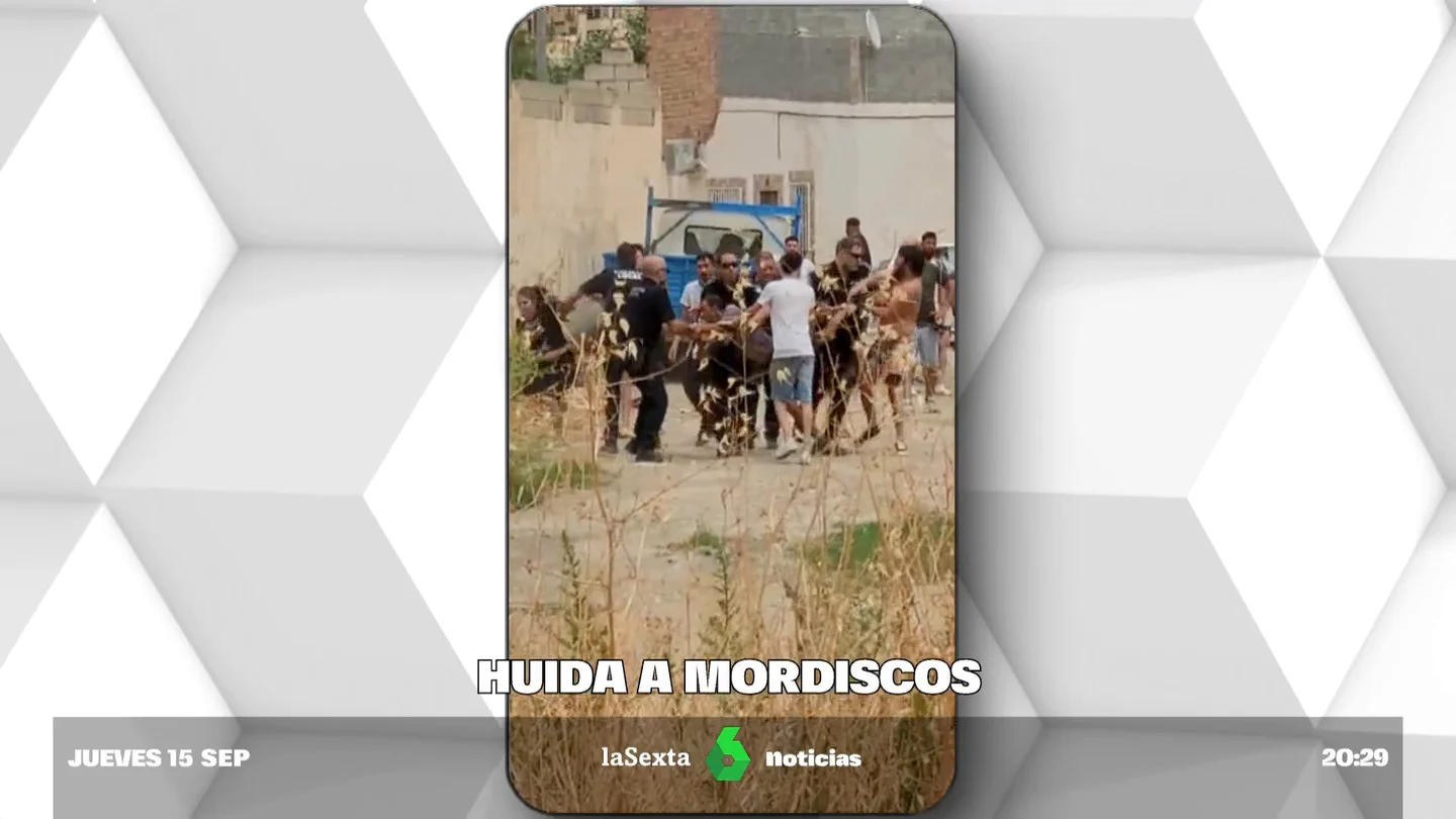 Una multitud se enfrenta a la Policía a mordiscos e impide la detención de un fugitivo en Granada Una multitud se enfrenta a la Policía a mordiscos e impide la detención de un fugitivo en Granada
