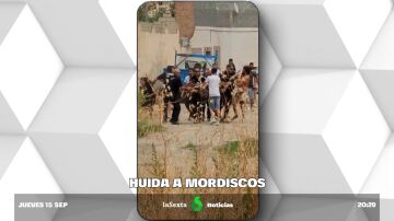 Una multitud se enfrenta a la Policía a mordiscos e impide la detención de un fugitivo en Granada