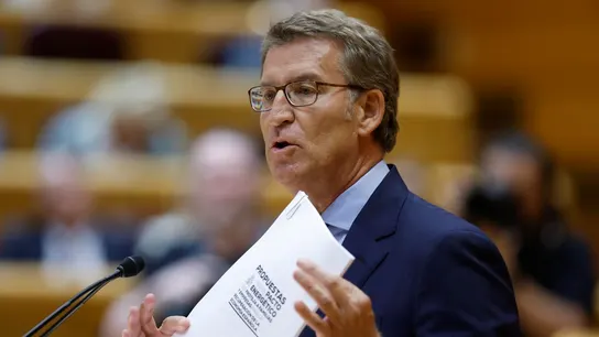 El líder del PP, Alberto Núñez Feijóo, interviene en el pleno del Senado. Quién va a ganar las elecciones: esto dicen todas las encuestas hasta ahora