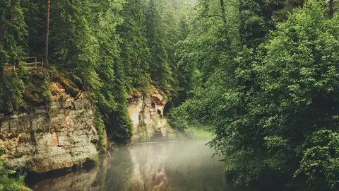 Estonia Estonia