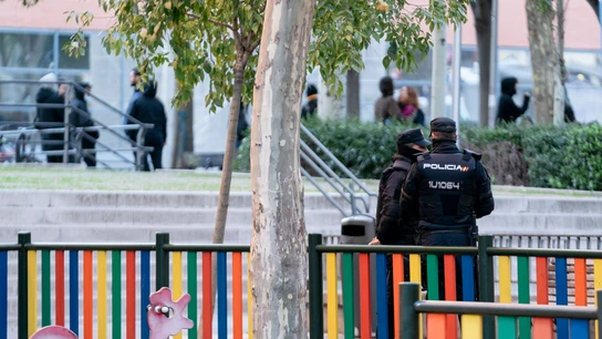 Detienen en Madrid al presunto autor de la violación a una turista británica en Mallorca en 2021 Detienen en Madrid al presunto autor de la violación a una turista británica en Mallorca en 2021
