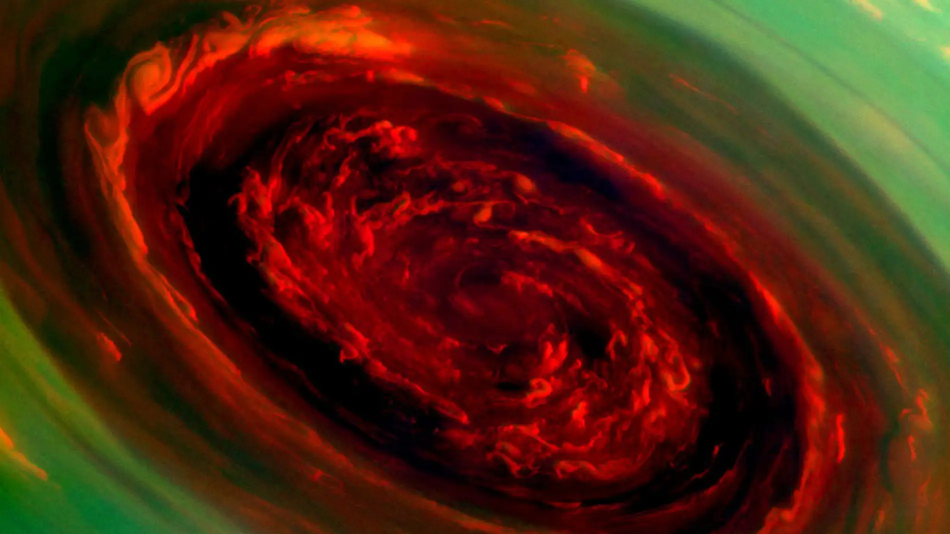 Imagen de la Rosa Roja de Saturno