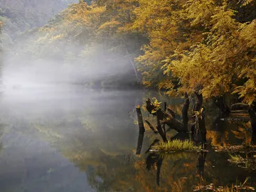 Fragas del Eume Fragas del Eume