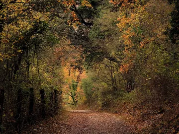 Paisajes de otoño Paisajes de otoño