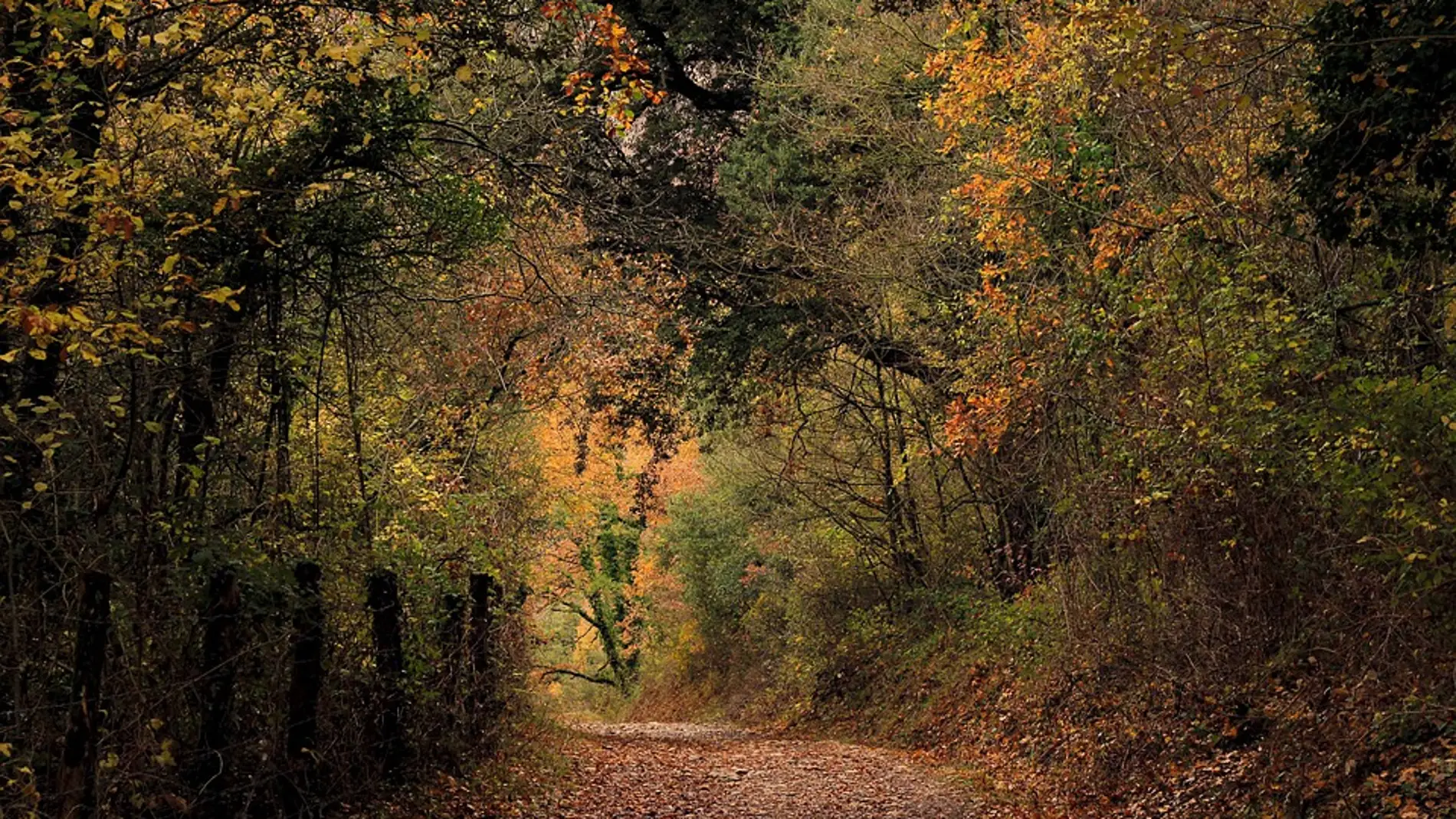 Paisajes de otoño Paisajes de otoño