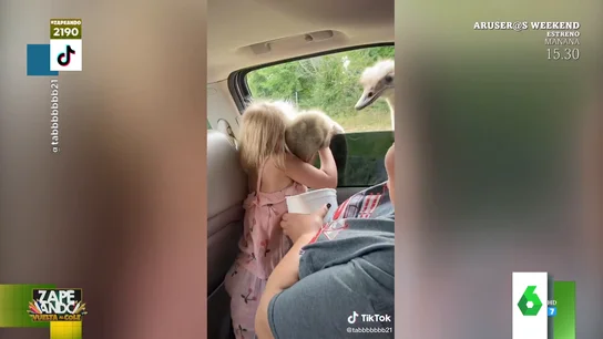 El abrazo viral y con un poco de "peligro" de una niña a un avestruz El abrazo viral y con un poco de "peligro" de una niña a un avestruz
