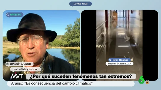 El aviso del naturalista Joaquín Araujo sobre las lluvias torrenciales en el Mediterráneo: "Hemos cometido un extraordinario error" El aviso del naturalista Joaquín Araujo sobre las lluvias torrenciales en el Mediterráneo: "Hemos cometido un extraordinario error"