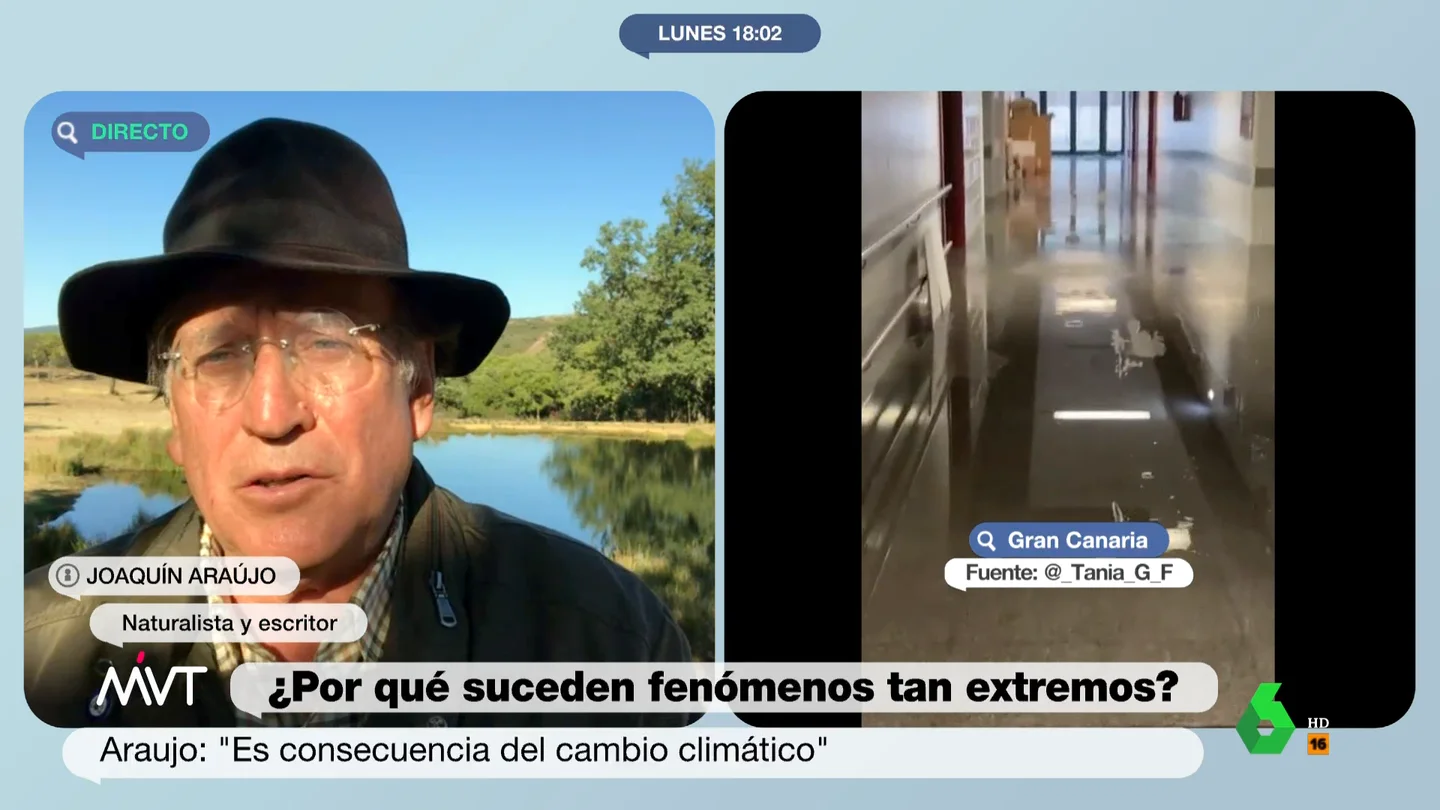 El aviso del naturalista Joaquín Araujo sobre las lluvias torrenciales en el Mediterráneo: "Hemos cometido un extraordinario error" El aviso del naturalista Joaquín Araujo sobre las lluvias torrenciales en el Mediterráneo: "Hemos cometido un extraordinario error"