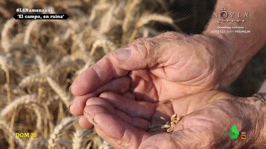 Los agricultores y ganaderos dan la voz de alarma: "El campo no se está muriendo, ya está muerto" Los agricultores y ganaderos dan la voz de alarma: "El campo no se está muriendo, ya está muerto"