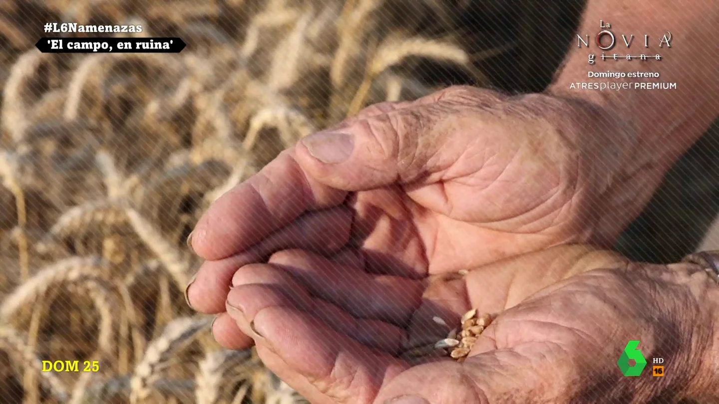 Los agricultores y ganaderos dan la voz de alarma: "El campo no se está muriendo, ya está muerto" Los agricultores y ganaderos dan la voz de alarma: "El campo no se está muriendo, ya está muerto"