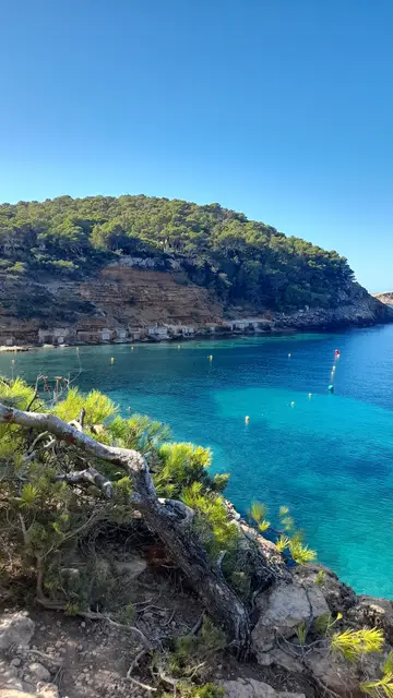 Cala Salada en Ibiza Cala Salada en Ibiza