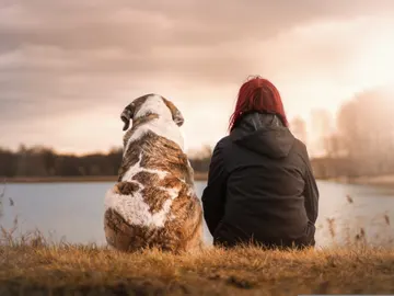 Perros y humanos Perros y humanos