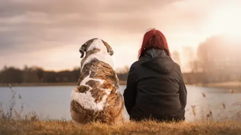 Perros y humanos Perros y humanos