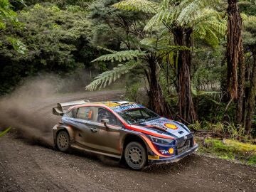 El Rally de Nueva Zelanda regresa al WRC