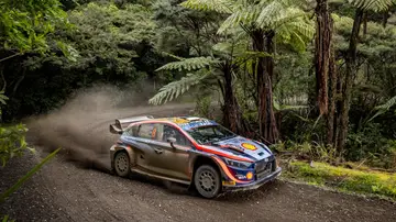 El Rally de Nueva Zelanda regresa al WRC