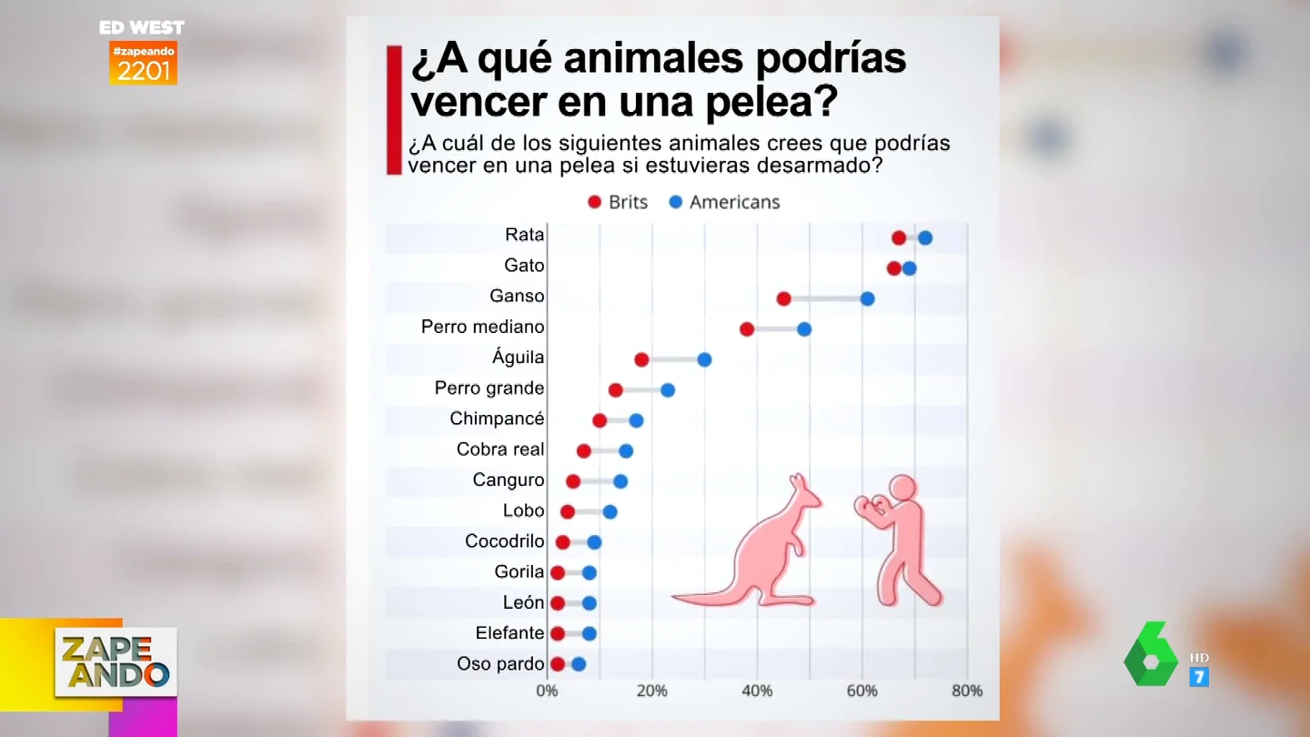 Encuesta estadounidense Encuesta estadounidense