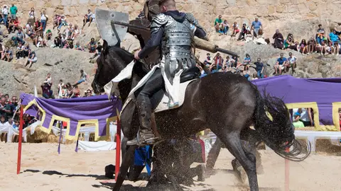 Mercando cervantino. Torneos Mercando cervantino. Torneos