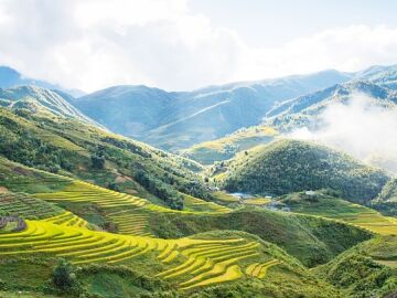 Octubre es un buen mes para viajar a Vietnam y descubrir los arrozales de Sapa