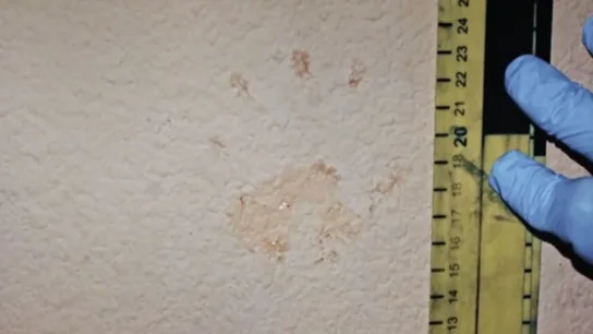 Huella ensangrentada de una mano pequeña en el escenario del crimen de Pioz. Huella ensangrentada de una mano pequeña en el escenario del crimen de Pioz.