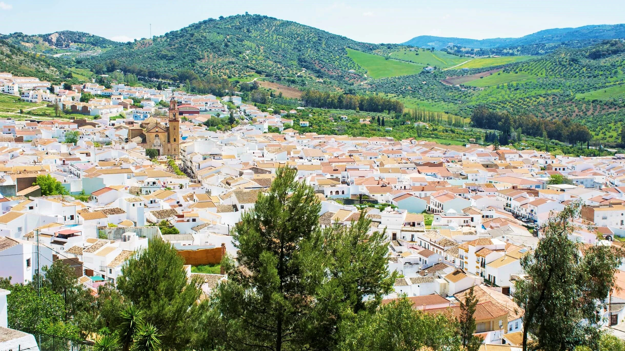 Algodonales (Cádiz)