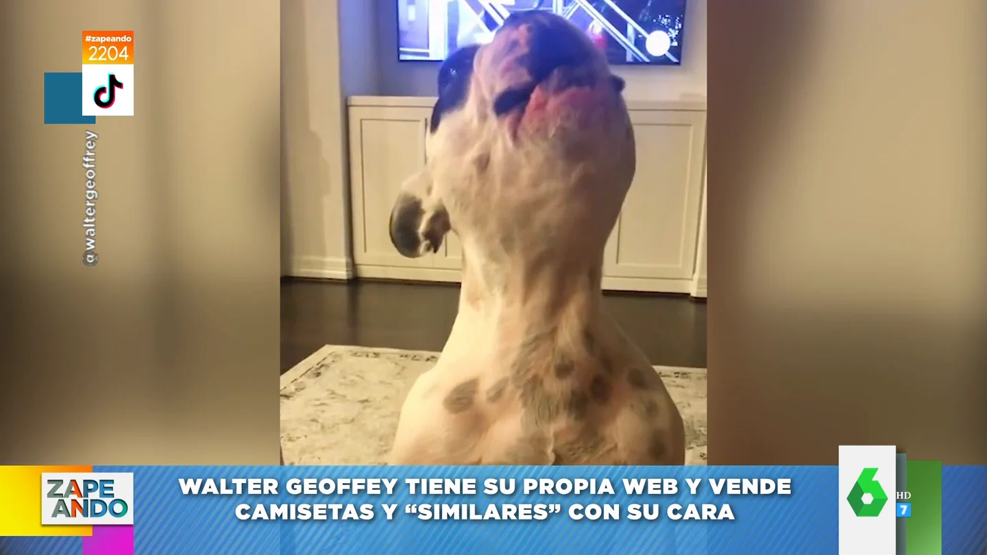 Conoce a Walter Geoffey, el perro con el aullido más desagradable del mundo Conoce a Walter Geoffey, el perro con el aullido más desagradable del mundo