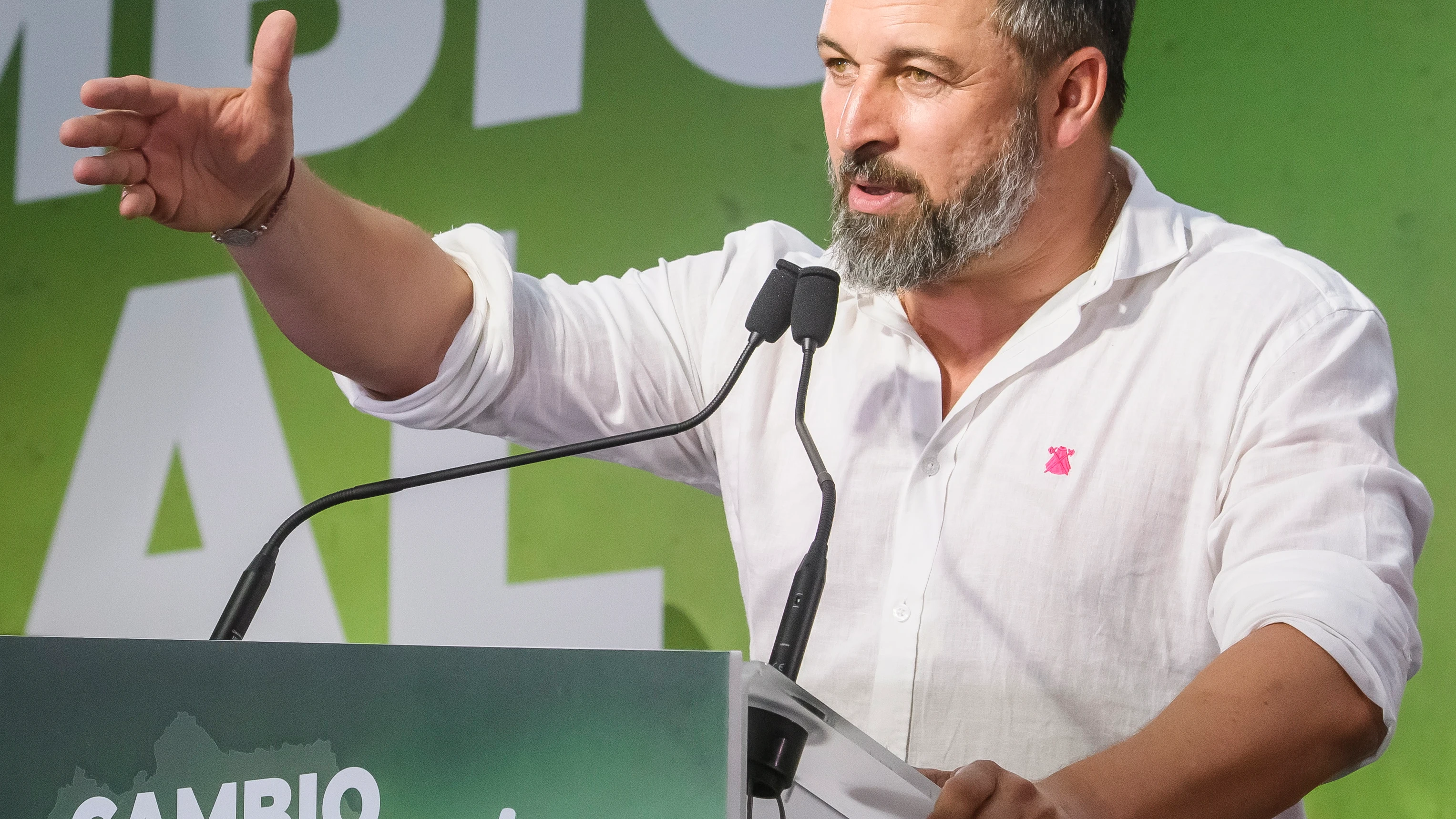 El líder nacional de Vox, Santiago Abascal.